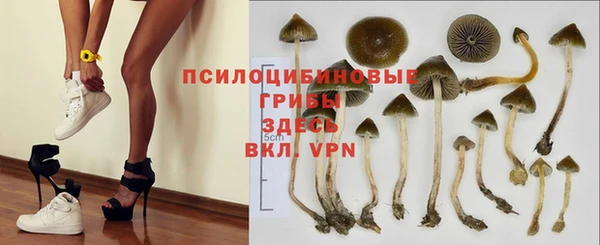 кокаин Алексеевка