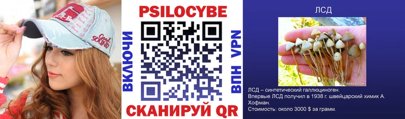 Галлюциногенные грибы мицелий  MEGA ссылка  Дмитровск 